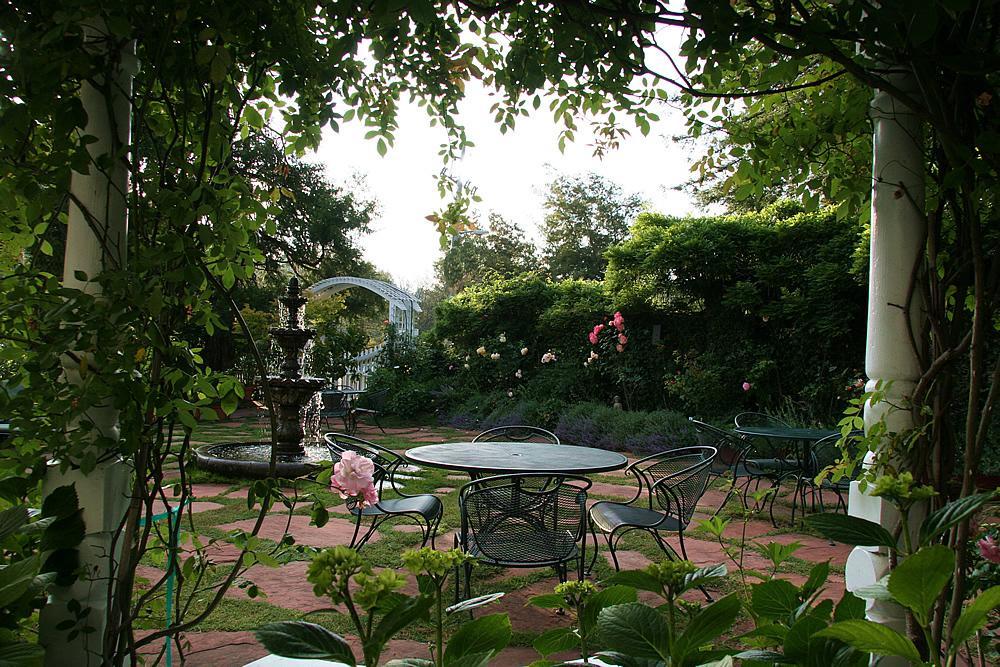 Inn At Occidental Restaurang bild
